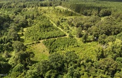 2002 Bala Chitto Road, Magnolia, MS 39652