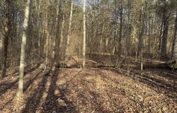 0000 Burtzelbach Road, Guilford, IN 47022
