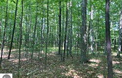 00 Birch Lake Road, Kewadin, MI 49676