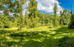 Route 22, Pawling, NY 12564