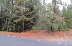 740 Feather River Drive, Chester, CA 96020-0000