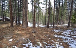 50 Pinon Road, Markleeville, CA 96120
