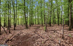 SOTHEBY COURT, WINCHESTER, VA 22602