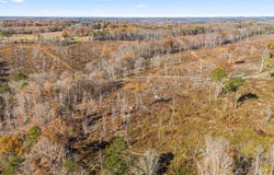 00 Co Rd 1067, Vinemont, AL 35179
