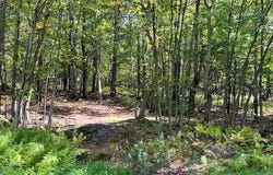 Squirrel Road lot: 427, Dingmans Ferry, PA 18328