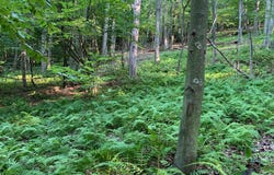 OLD HANCOCK ROAD, CUMBERLAND, MD 21502