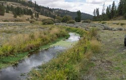 34126 N Hawk Creek Rd, Davenport, WA 99122