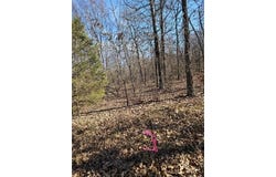 54601 E 233 Road, Afton, OK 74331