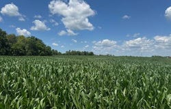 N SD Hwy 95, Smithfield, IL 61477