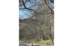 98 Pine Shadows Drive, Dallas, GA 30157