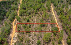 214 Flamingo Dr, Interlachen, FL 32148