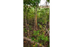 Pricer Ridge Rd, South Salem, OH 45681
