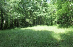 200 County Road 119, Limrock, AL 35776