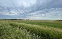 1085 Moses Rd., Quemado, TX 78877