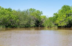 Tbd County Rd 171 RD, Nixon, TX 78140