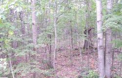 TBD N Circle E, Farwell, MI 48622