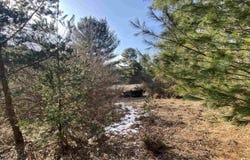 Lot 34 Scenic Hills Drive, Williamsburg, MI 49690