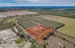 SE HAMMERLY ST, Lee, FL 32059