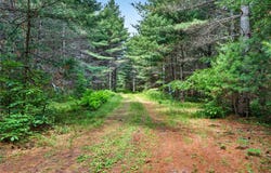 9 Acres US Highway 63 lot: A, Drummond, WI 54832