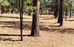 Stonewall, CO 81091