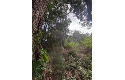 LEE Street, BOWLING GREEN, FL 33834