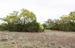 Tbd Logan's WAY, Blanco, TX 78606