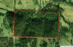 Holly Road, Pierce City, MO 65723