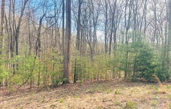 221 WINDSOR LN, DANIELS, WV 25832