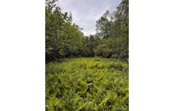 TBD 5.23 Messner, Baraga, MI 49908