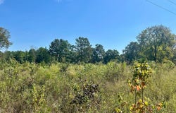 CR 1111, Atlanta, TX 75551