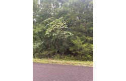 11 BRILLIANTE LANE, Hot Springs Village, AR 71909