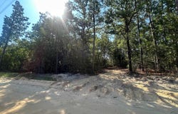 0 Gary Hallman Circle, Leesville, SC 29070