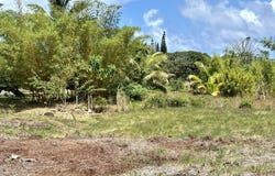15-1429 16TH AVE, Keaau, HI 96749