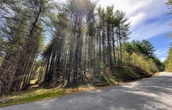 National Forest Drive unit: 132, Collettsville, NC 28611