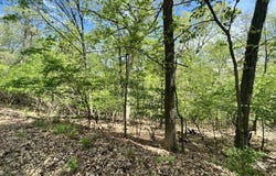 1032 Chesterfield Forest, Wildwood, MO 63005