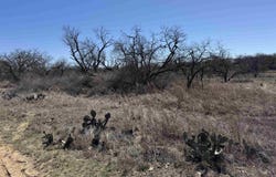 Lot 103 Ridgemont Drive, Kingsland, TX 78639