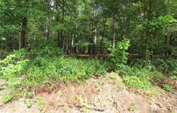2230 Grant 29 Road, Pine Bluff, AR 71603