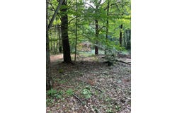 4123 Waterman Road, Vassar, MI 48768