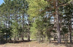 2760 Mockingbird Drive, Traverse City, MI 49685