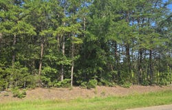 00 Robert Morgan Road, Bullock, NC 27507