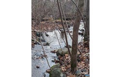 2005 UPPER STONY RUN, GREENWOOD, VA 22943
