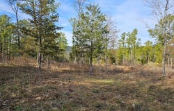 254 Stone Creek, Panola, OK 74559