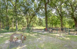 7316 Nuts Rut Road, Tallahassee, FL 32305