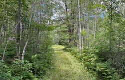 7067 Brown Road, Automba Twp, MN 55757