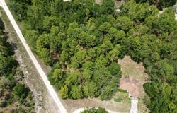 0000 SW 159TH AVE ROAD, OCALA, FL 34481