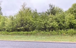 Lot 45 10th Street, Necedah, WI 54646