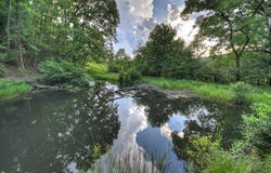 160 Mountain Field Drive, Blue Ridge, GA 30513