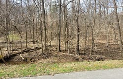 1 Lakeshore Cir, DOVER, TN 37058