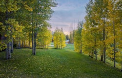 1895 Sunburst Drive, Vail, CO 81657