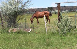 La Senisa Road, Taos, NM 87571